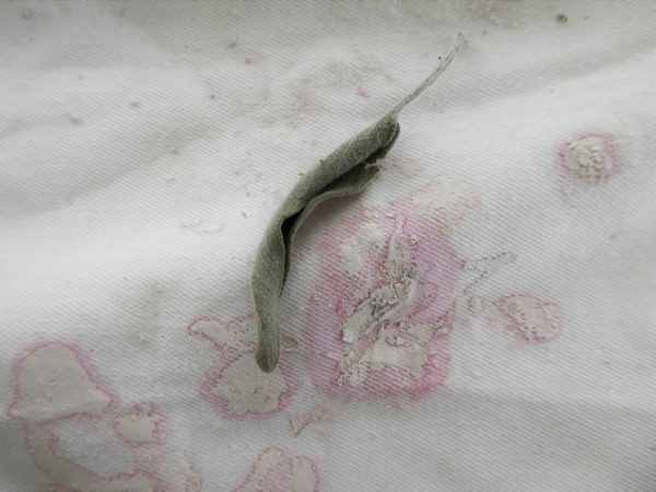 Dream that cannot be cracked and cannot be cracked and cannot…