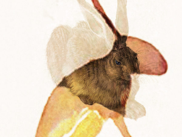 FILMES SOBRE ARTE 2018