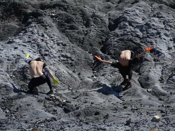 A IMPORTÂNCIA DE SER desNECESSÁRIO