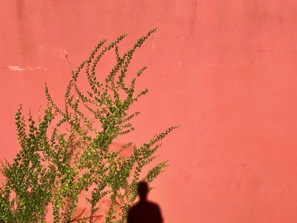 Síncrono | do registro ao fluxo