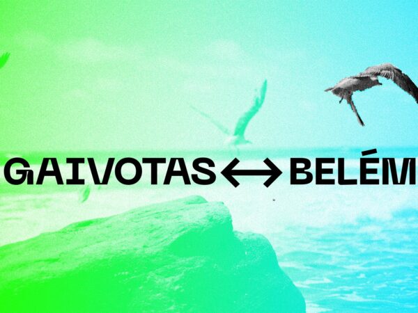 Gaivotas ↔ Belém (Festival)