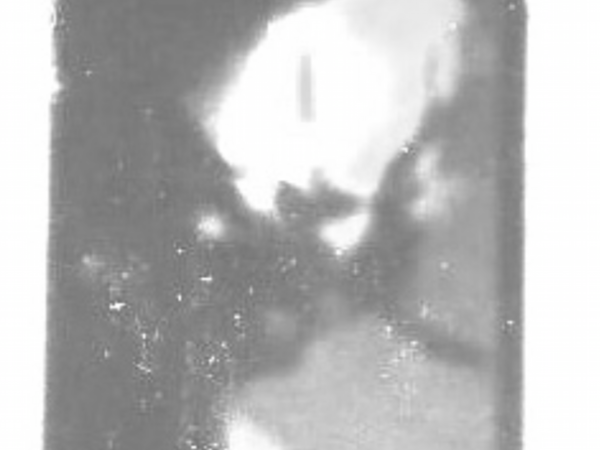 JEJUM #16 – Vile Karimi