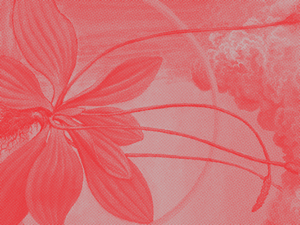 Plant Exchange + Green Talk