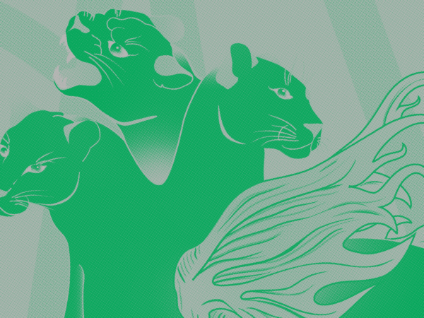 Lançamento da Associação BUBURUZĂ