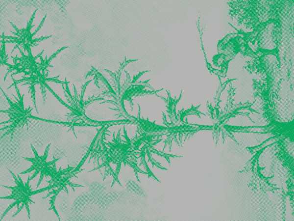 Conversa Verde + Troca de Plantas