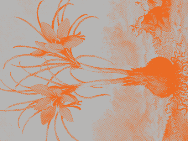 Green Talk+ Plant Swap