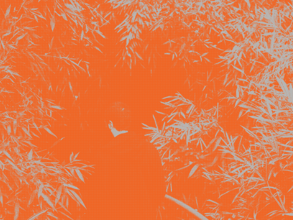 JEJUM #33 — Carga Aérea