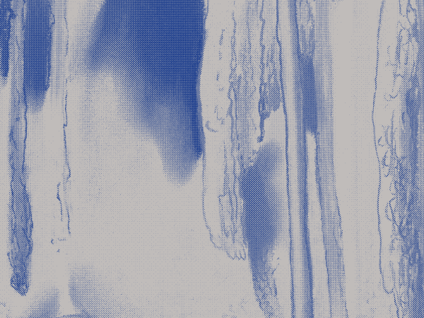 Leilão do fim do mundo