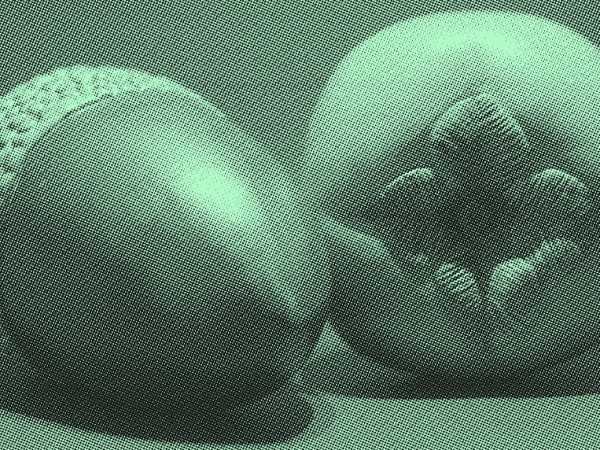 The Murmur of Shapes