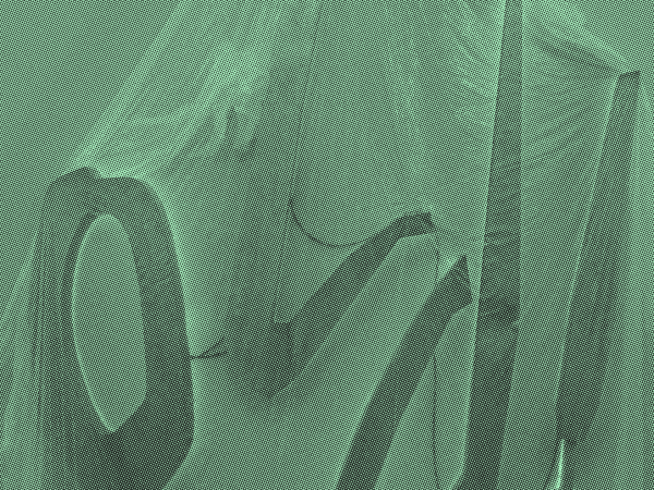 Reabertura Oficial RG6!